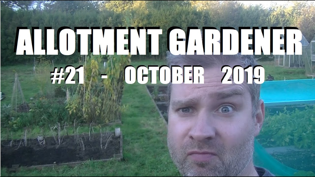 Allotment Garden #21 - Allotment diary, October 2019 - big autumn harvest!