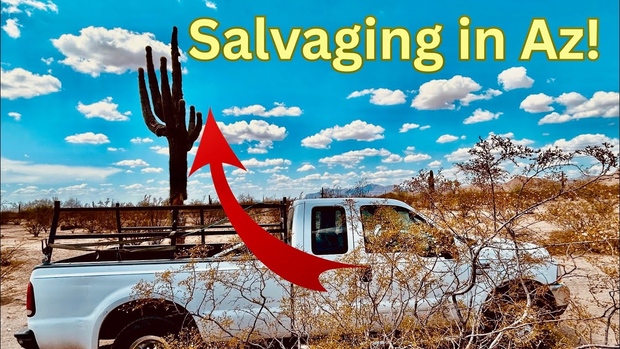 Arizona Scrap Safari 🌵