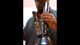 Dab life