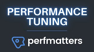 How to FineTune WordPress Performance with the Perfmatters Plugin