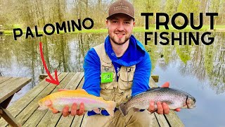 Catching a Golden Rainbow (Palomino) - Trout Fishing PA