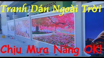TRANH DÁN TƯỜNG SIÊU CAO CẤP ! DÁN NGOÀI TRỜI CHỊU MƯA NẮNG OK  LUÔN !