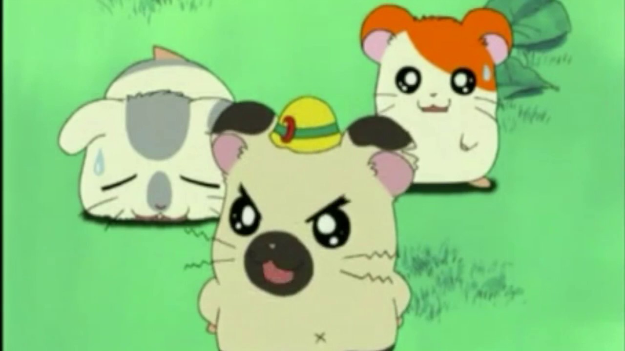 Hamtaro épisode 2 Vf Youtube