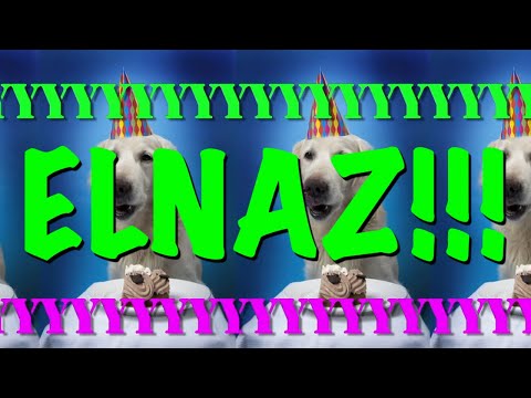 HAPPY BIRTHDAY ELNAZ! - EPIC Happy Birthday Song
