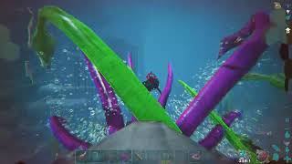 9 Vision Online Wiping NTN Labyrinth 1891 ARK OFFICIAL PVP PS5