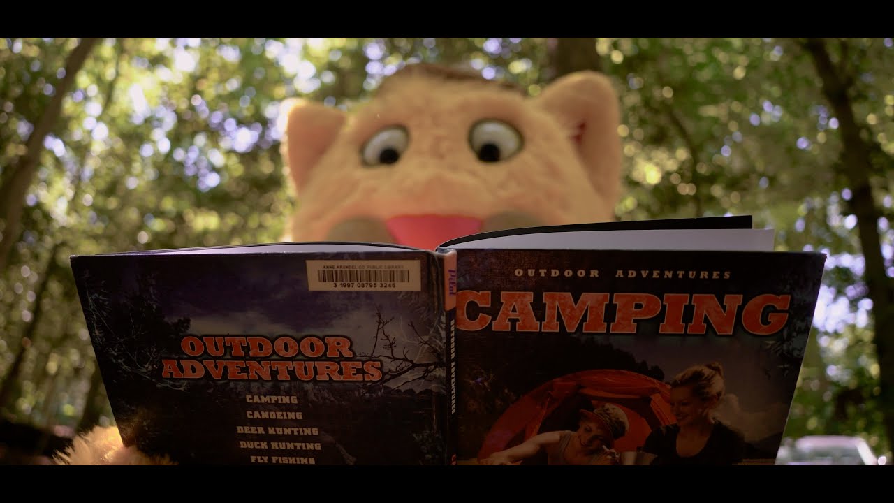 Summer '24 at AACPL: Adventure Begins at Your Library!