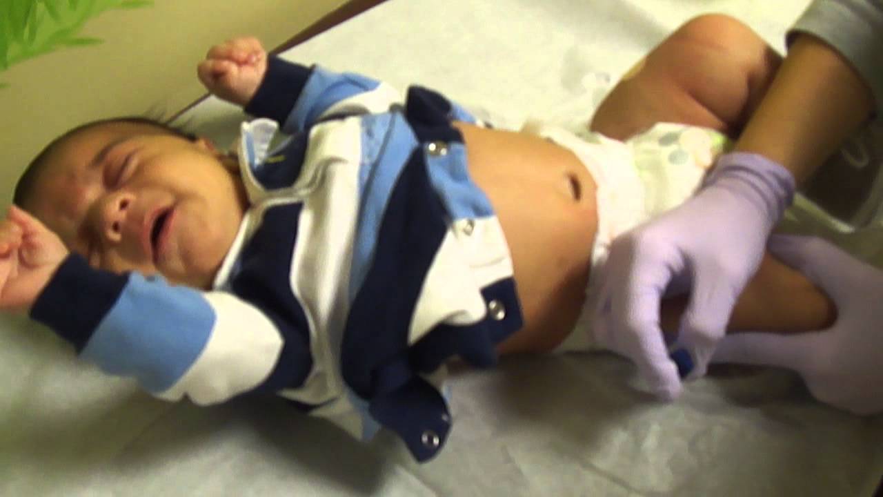 minhas primeiras vacinas