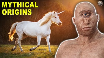 Surprisingly Plausible Real-Life Explanations For Mythical Creatures