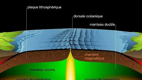 Quelle est la nature du plancher océanique ?