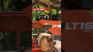 Sawing 2nd edging board on another Cherry log 7/22/23