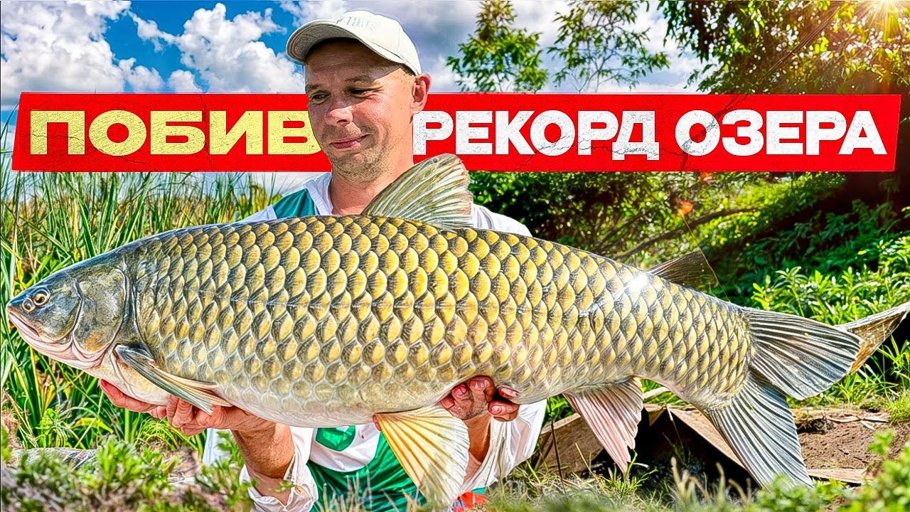 Я цього не очікував - клює цілий день!