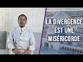 2 la divergence est une misricorde  alain ali