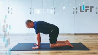 Quadruped level 2 - shoulder taps to test your ability to resist rotation and keep proper form