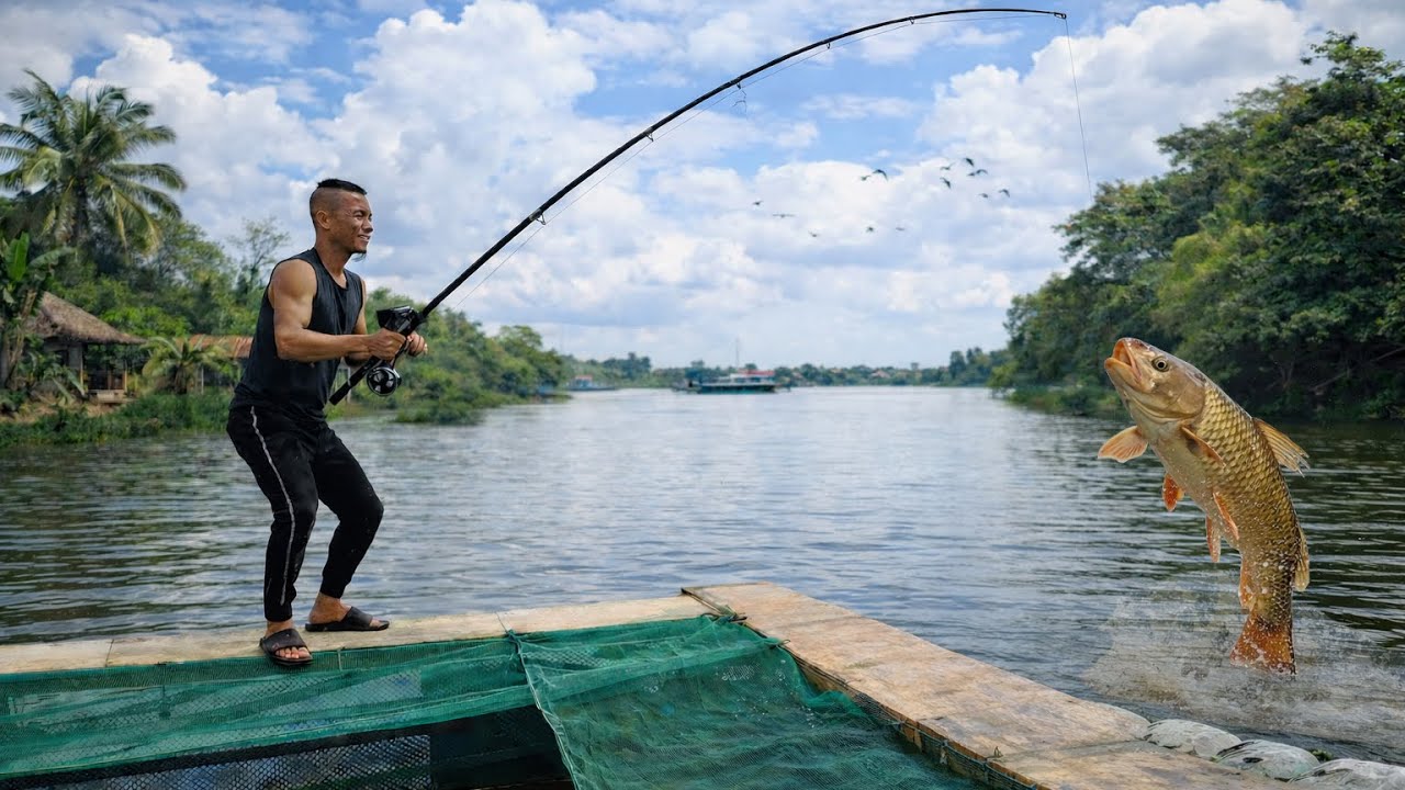 Màn Câu Cá Đỉnh Kout và Cái Kết Khủng Khiếp