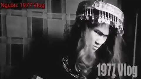 Clip ngắn 1977 vlog