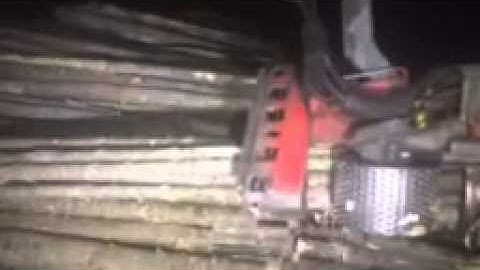 multistem king 7000 xt logmax