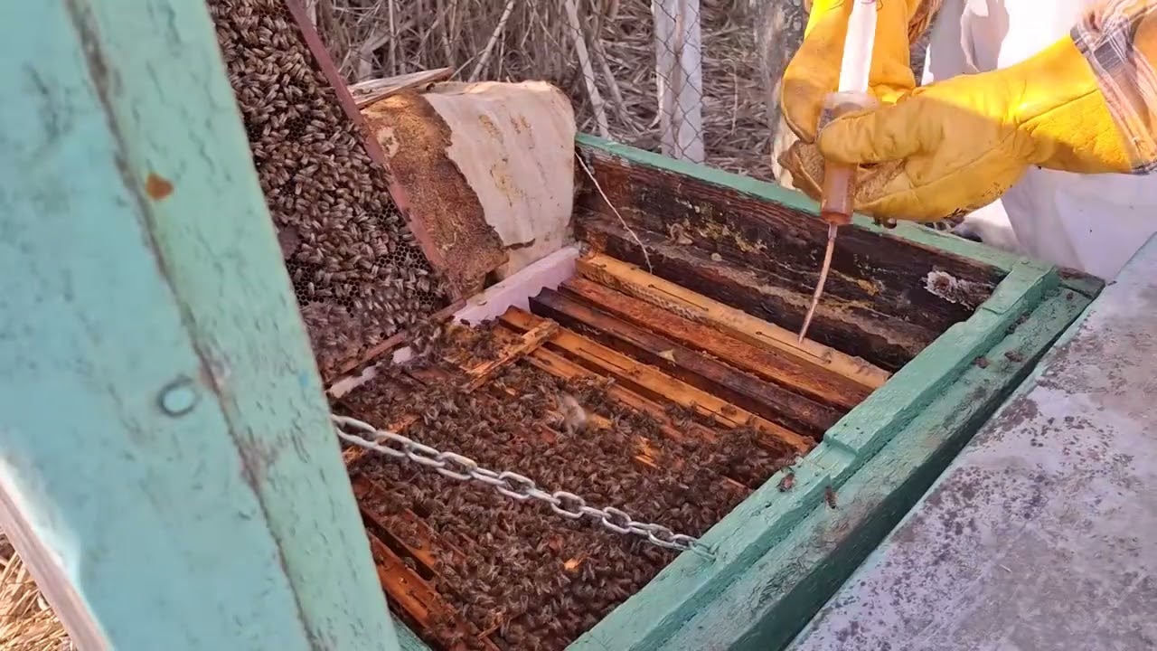 Tratament cu suc acid 27 feb 26