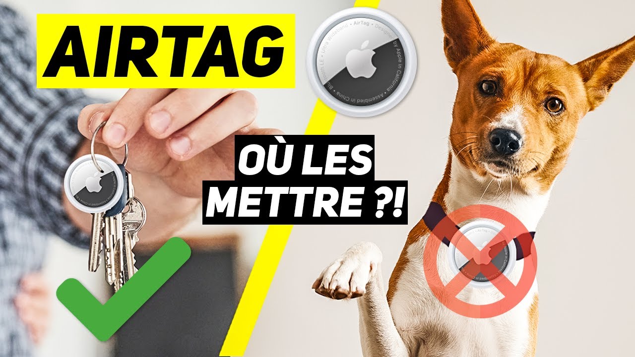 Airtag pour chien et chat, pourquoi faut-il se méfier ?