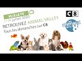 Animal valley prsente les animaux de la 8 sur c8