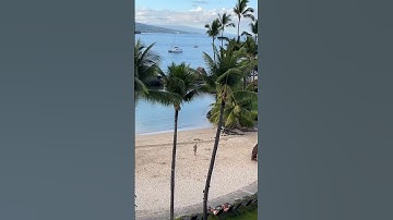 🏝 Here is my trip to the Big Island 🐠🐟🐡 #hawaii #bigisland #minivlog