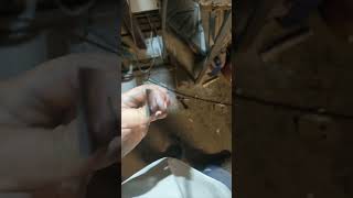 Ustura Çalışması