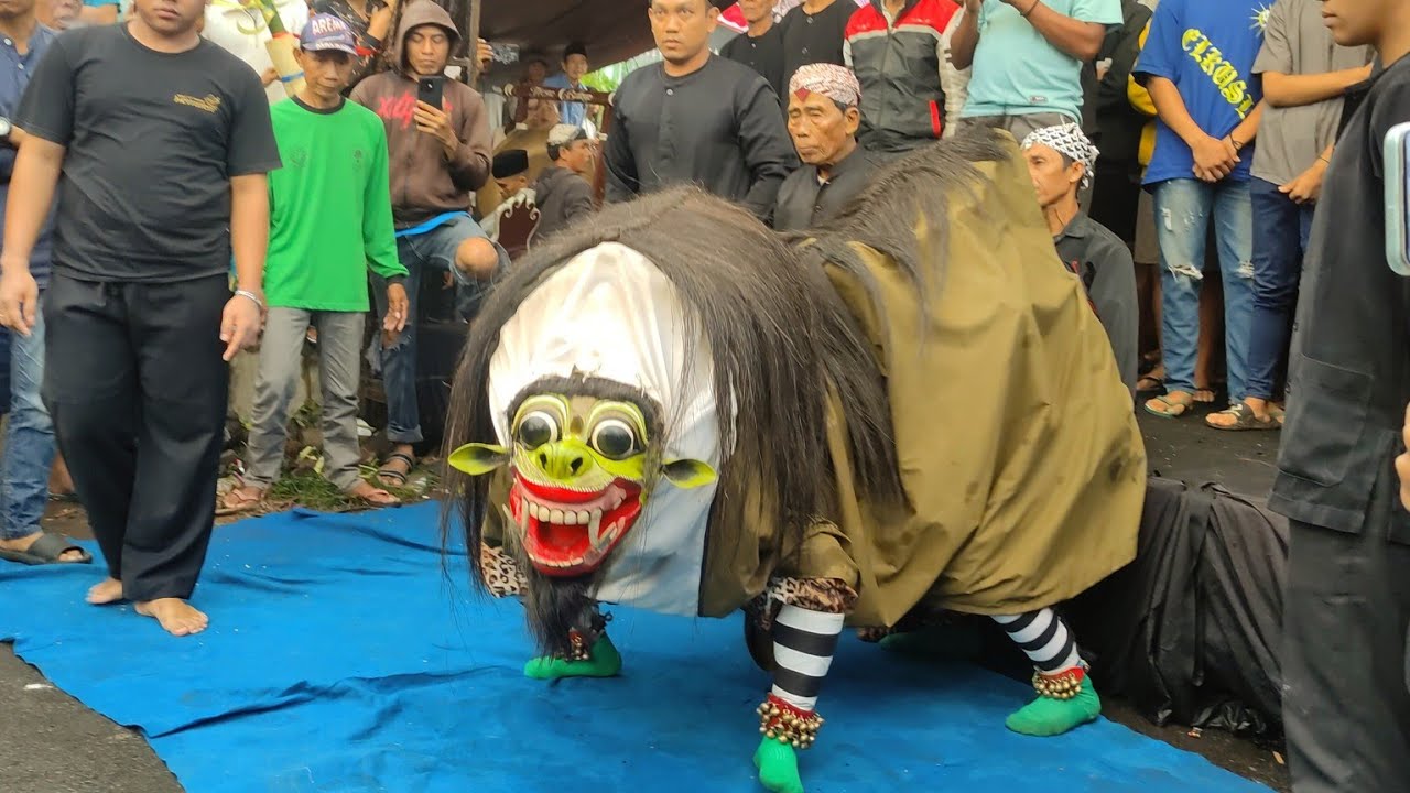 Macan Macanan Barong Tresno Budoyo Kemiren Live Kenjo 