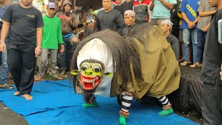 Macan Macanan Barong Tresno Budoyo Kemiren Live Kenjo 