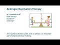 Androgen Deprivation Therapy and Prostate Cancer
