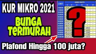 Jaminan Kredit KUR ‼️ Agunan Kredit KUR ‼️ Jaminan Pinjaman KUR ‼️ KUR Mandiri 2021 ‼️KUR BUNGA 0,2%