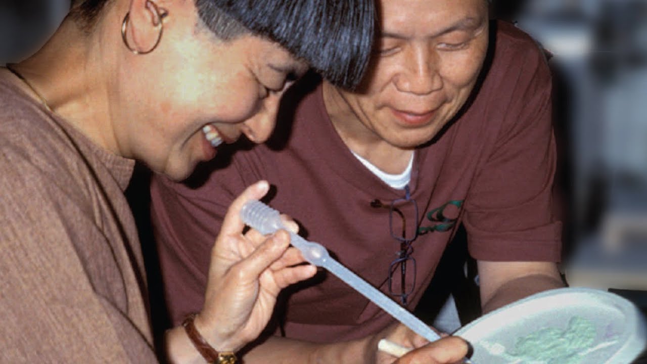 Паштет из верра с Синъити и Кимиакэ Хигути | Серия мастер-классов, том IV