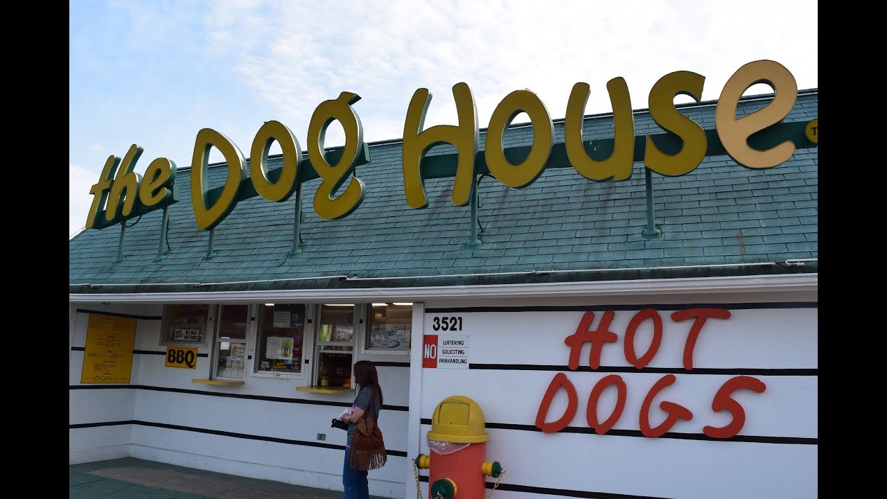 I'm In The Dog House At Durham, North Carolina YouTube