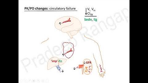 Deciding Drug Dosing in Critically ill  | Dr. Pradeep Rangappa