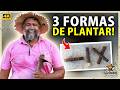 MANDIOCA Produz MAIS Assim? Teste com 3 Plantios