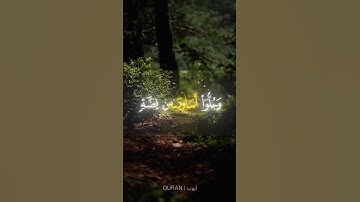 إبداع رائع وجميل القارئ محمد اللحيدان قرآن كريم ( عينا فيها تسمى سلسبيلا)🌹❤️