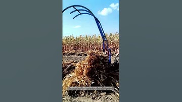 Smart Harvesting: Corn Stalk Bundling with a Simple Mechanical Frame