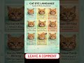 Cat eye language #petcare #cat #petcareprovider #catfacts #cutecat #usashorts