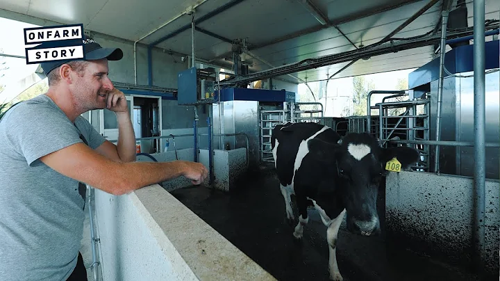 Work-Life Balance a Fundamental of Robotic Milking System | On Farm Story