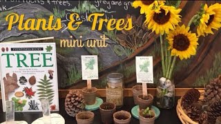 Botany Unit Study | Rainforest | Books, Resources, and Activities Botany Unit Study | Rainforest | Books, Resources, and Activities