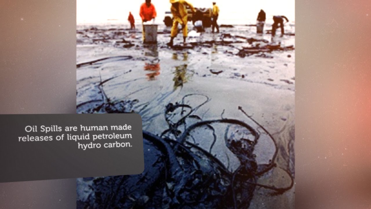 Oil Spills YouTube