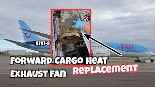 B787-8: FWD Cargo Heat Exhaust Fan replacement + Explanation!