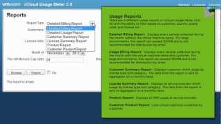 VMware vCloud Usage Meter 3.0: Reporting