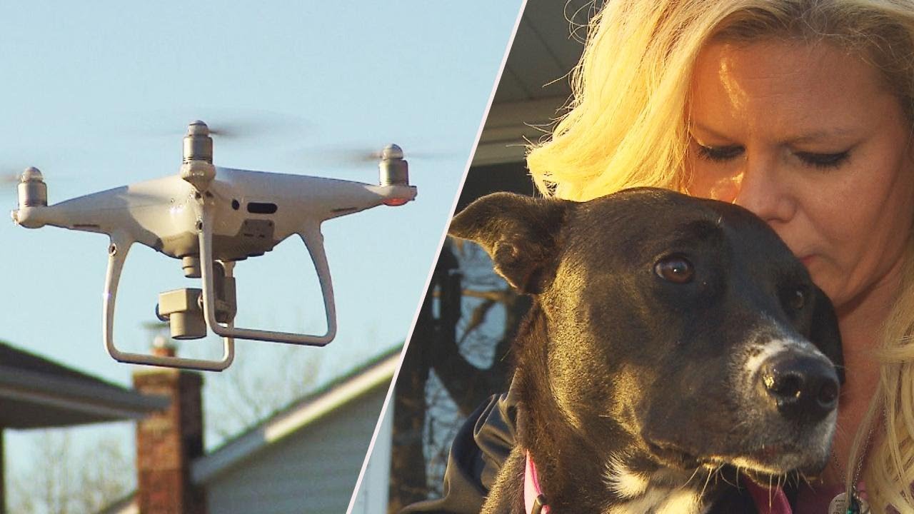 Lost Dog Drone Service Near Me Lost Dog Drone Service Near Me
