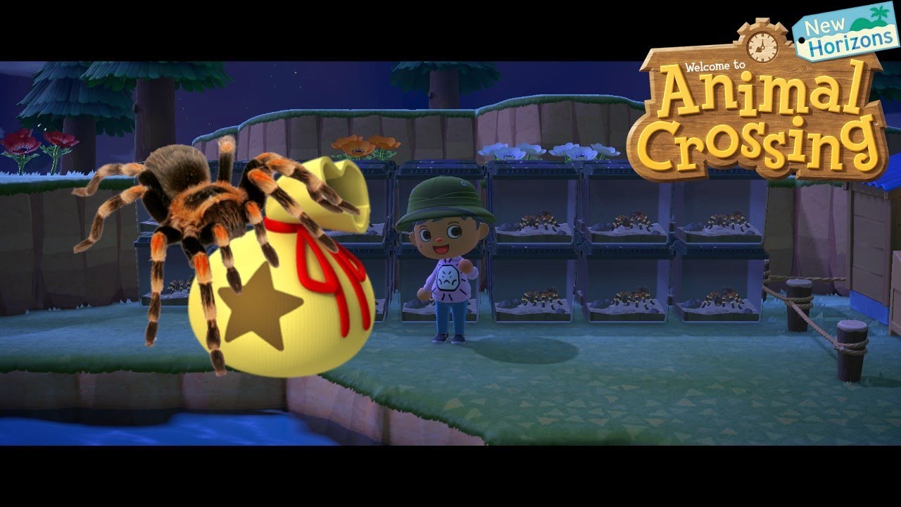 Tarantula Farming Guide | Animal Crossing: New Horizons