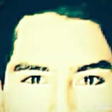 Camelia ringtone