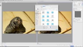 How to Batch Save for Web on Photoshop CC 2014