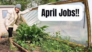 Spring Allotment Day: Planting Peas, Potatoes, and Battling Polytunnel Weeds | Allotment Tour