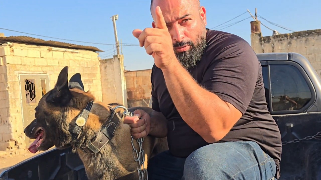 ما الكلب الجديد الذي خاف منه ابو احمد؟#كلب_جديد #خوف #ابو_احمد