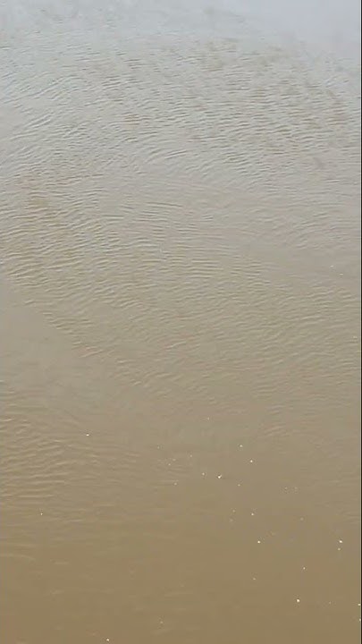 /Мутная вода в Марсятах - YouTube
