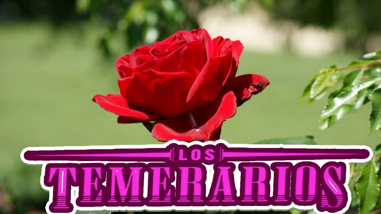 ❤ ❤ Los Temerarios Romantico ❤ ❤ Las Mejores Canciones de Los Temerarios Mi...