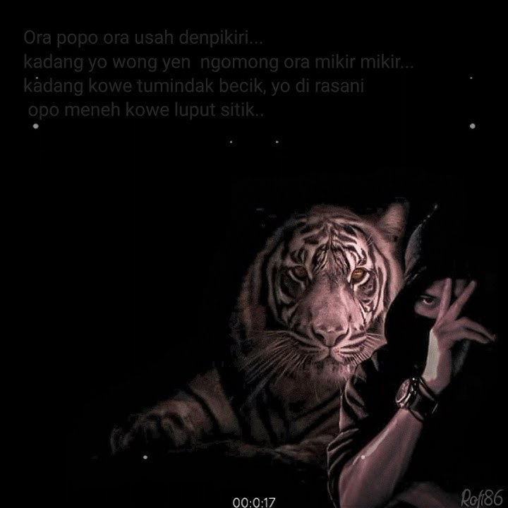 Setory wa, Kepangku kapang.